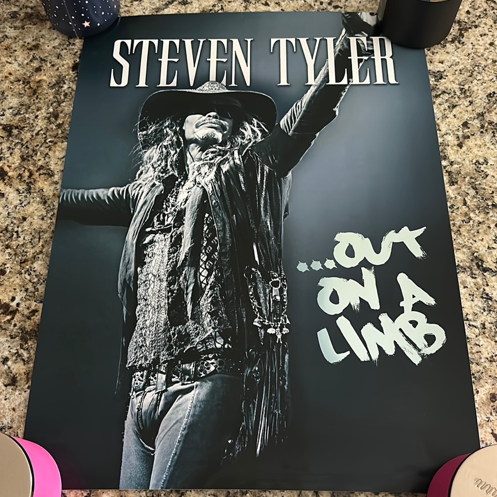 Steven Tyler ‘Out On A Limb’ tour print